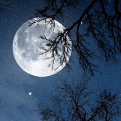 Relax Night MOD APK (Unlocked, Pro, Full, AOSP compatible)