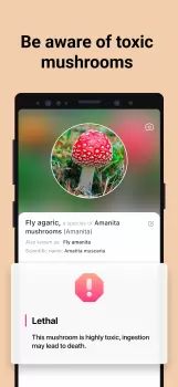 Picture Mushroom - Mushroom ID MOD APK (Unlocked, Premium) v2.9.24 screenshot 3