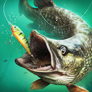 Fishing Tour MOD APK (Remove ads, Mod speed)