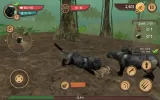 Wild Panther Sim 3D MOD APK (Remove ads, Mod speed) v207 screenshot 23
