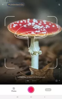 Picture Mushroom - Mushroom ID MOD APK (Unlocked, Premium) v2.9.24 screenshot 11