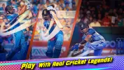 King Of Cricket Games MOD APK (Remove ads, Mod speed) v1.0.45 screenshot 25
