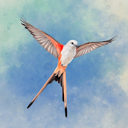 Wingspan: The Board Game MOD APK (Paid for free)