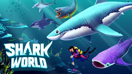 Shark Mania