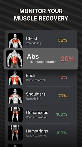 Workout Planner Muscle Booster