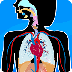 Human Anatomy - Body parts MOD APK (Remove ads, Unlocked, Premium)