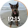 PhotoWear Classic Watch Face MOD APK (Unlocked, Premium) v4.5.44 screenshot 9