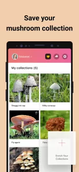 Picture Mushroom - Mushroom ID MOD APK (Unlocked, Premium) v2.9.24 screenshot 5