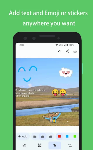 PicMarker: Blur & Markup