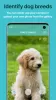 Dog Scanner: Breed Recognition MOD APK (Unlocked, Premium) v17.2.6-G screenshot 1
