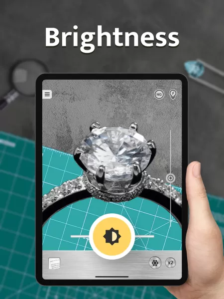 Magnifier Plus