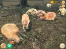 Capybara Zoo MOD APK (Free purchase) v2.6.4 screenshot 7
