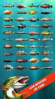 Let's Fish MOD APK (Mod Menu) v6.4.1 screenshot 9