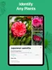PictureThis - Plant Identifier MOD APK (Unlocked) v4.4.1 screenshot 18