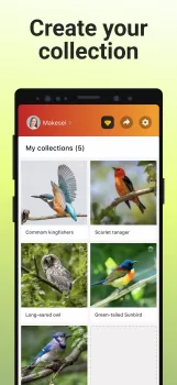 Picture Bird - Bird Identifier MOD APK (Unlocked, Premium) v2.9.28 screenshot 6